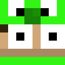 Image for PELS Minecraft Player