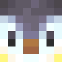 Image for PENGU1NN Minecraft Player