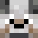 Image for PIESE Minecraft Player