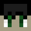 Image for PPleix Minecraft Player