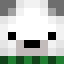 Image for PPton Minecraft Player