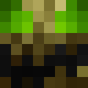 Image for PSPMagister Minecraft Player