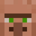 Image for Paardenvlees Minecraft Player