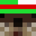 Image for PackM Minecraft Player