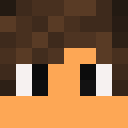 Image for PaiiNt Minecraft Player