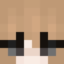 Image for PalmTopTaiga Minecraft Player