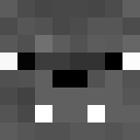 Image for Palokos Minecraft Player