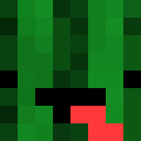 Image for PanKaktusek Minecraft Player