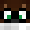 Image for PandaV Minecraft Player