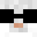 Image for Pandaguy76 Minecraft Player