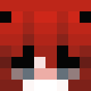 Image for Paniquera Minecraft Player