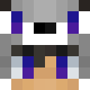 Image for Paox Minecraft Player