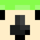 Image for ParrotX6 Minecraft Player