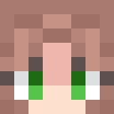 Image for Paytoo Minecraft Player