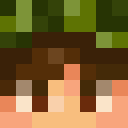 Image for PePeSp Minecraft Player