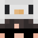 Image for Penguv Minecraft Player