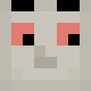 Image for Penxy Minecraft Player