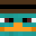 Image for PerryPlatypus12 Minecraft Player