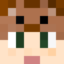 Image for Petitbois Minecraft Player