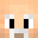 Image for Pexc Minecraft Player