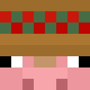 Image for Pigos Minecraft Player