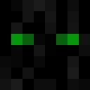 Image for Piksul Minecraft Player