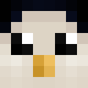 Image for PinguSaysNoot Minecraft Player