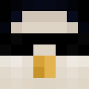 Image for Pinguin_ Minecraft Player