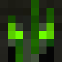 Image for Pirachist Minecraft Player