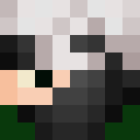 Image for Pitbulls4Life Minecraft Player