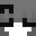 Image for PitickaLP Minecraft Player