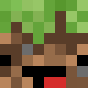 Image for Pitsz Minecraft Player