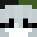 Image for Plaato Minecraft Player