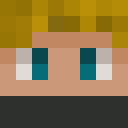 Image for Planlxser Minecraft Player