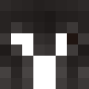 Image for Player_C Minecraft Player