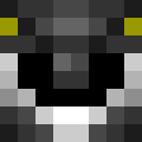 Image for Plnq Minecraft Player