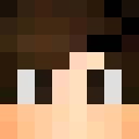 Image for Pluger Minecraft Player