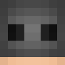 Image for PnX Minecraft Player