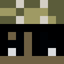 Image for Poafy Minecraft Player