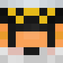 Image for Pockket Minecraft Player