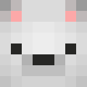 Image for PolarGamerYT Minecraft Player