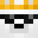 Image for PolarGamin Minecraft Player