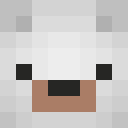 Image for Polarzzzz Minecraft Player