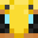 Image for PolyBee Minecraft Player