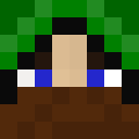 Image for Pooul Minecraft Player