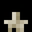 Image for Popoxx Minecraft Player