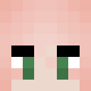 Image for Poppo Minecraft Player