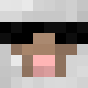 Image for President_Sheep Minecraft Player