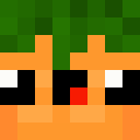 Image for Pro_carrot Minecraft Player