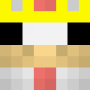 Image for ProfessorPjs Minecraft Player